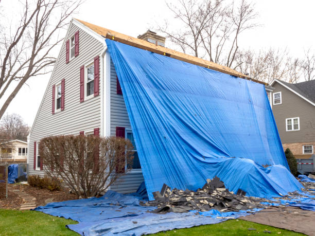 Best Demolition Debris Removal  in Richnd, MO