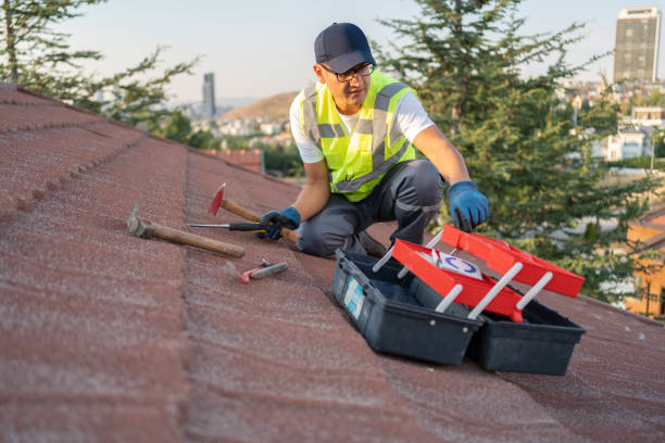 Best Hoarding Cleanup  in Richnd, MO